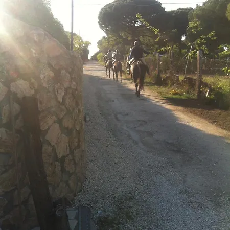 Bed & Breakfast Masia Mariel Playa-adults Only Orbetello