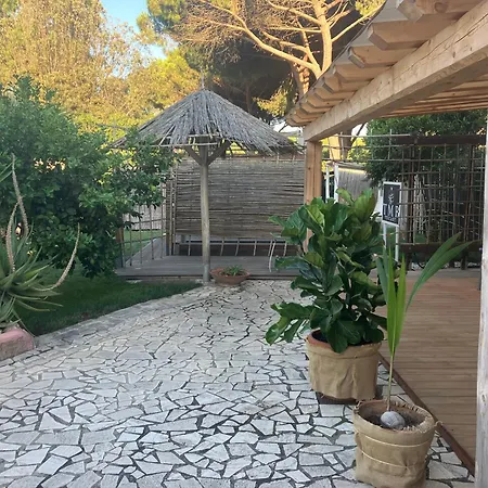 Bed & Breakfast Masia Mariel Playa-adults Only *
